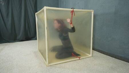 Bondage with red ropes to a transparent cube