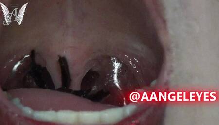 Super Show Swallowing Big Spiders!