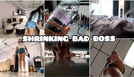 shrinking bad boss and voree