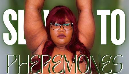 Slave to Pheremones - Bella Trixxx Hairy Armpit Ebony Goddess Worship 720p