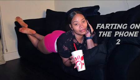 Farting On The Phone 2
