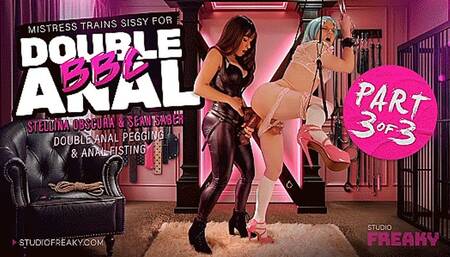 Sissy Husband BBC Training Part 3 of 3: Femdom Stellina Obscura Stuffs Sissy Slut’s Pussy with Double BBC Pegging & XXX Hardcore Fisting (1080p)