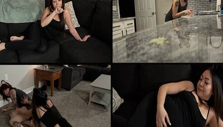 Cat and Mouse In The House