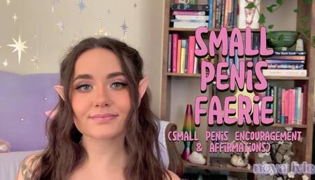 small penis faerie