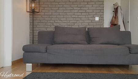 French - Le Photographe