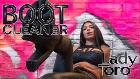 Boot Cleaner