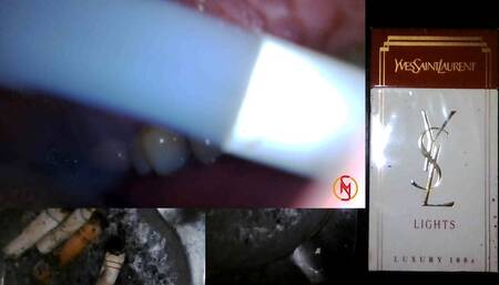 Yves Saint Laurent Lights 100s inside 2