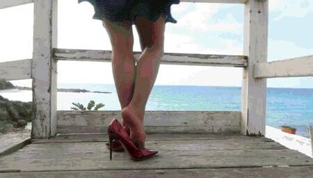 Shoe Hunter 43 AVI (1920x1080) FHD