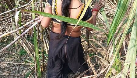 My Sexy Wife and I in the Sugarcane Field in Mast Chudai