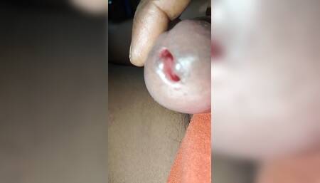 My Cock Videos