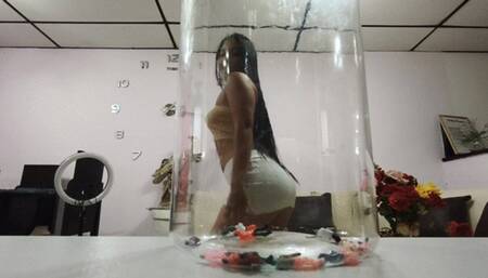 twerk dance for tiny male slaves