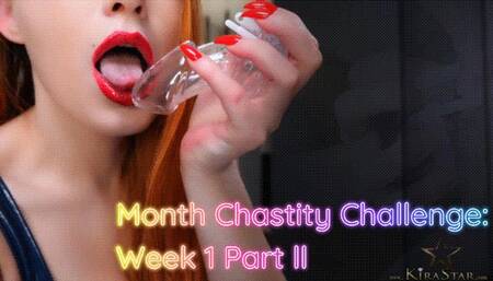 4K Month Chastity Challenge: Week 1 Part ll