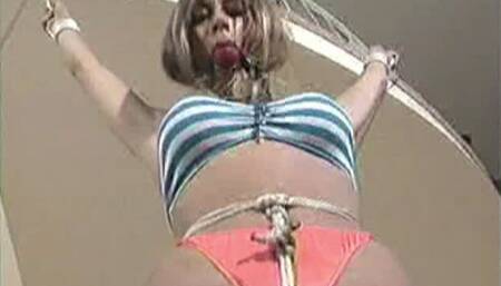 Shared Ties Clip 3 640x480 wmv