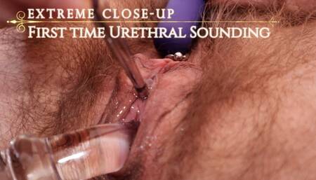 Hairy Pussy Urethral Sounding Unreleased Archive