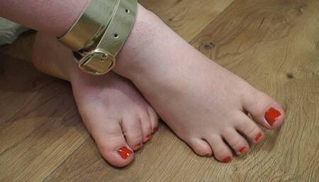 Complete Silence: Worship at My Feet