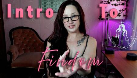 Intro To Findom