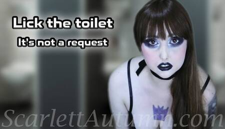 Lick the toilet I used - WMV HD 1080p