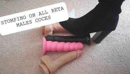Stomping on all beta male cocks - CBT Boot Worship