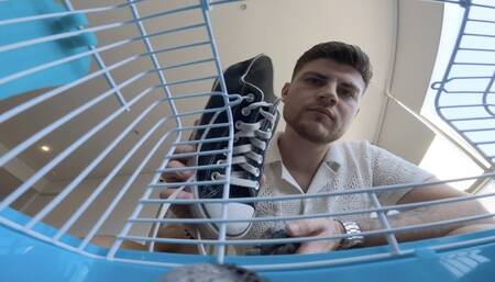 Matt - Cage Life (POV Shrunken)