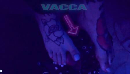 POV la mia vacca sotto i piedi