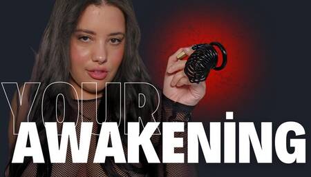 The Art Of Denial: Your Chastity Awakening