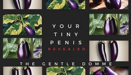 The Gentle Domme-Your Tiny Penis is Revealed-SPH-Humiliation-Girlfriend-Cuckolding