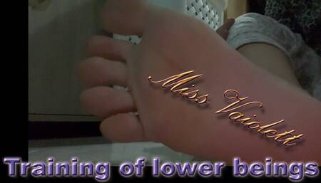 Training of lower beings