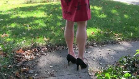 Pink Fox highlight video