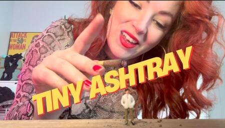 Tiny Ashtray