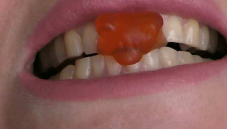 The bears don't stand a chance MOV FULL HD 1080p