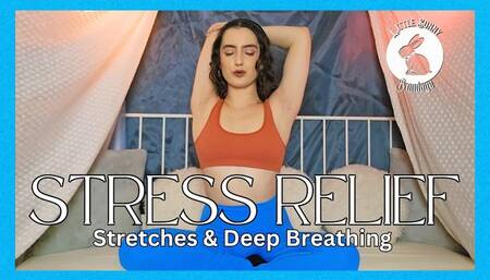 Stress Relief: Stretches & Deep Breathing