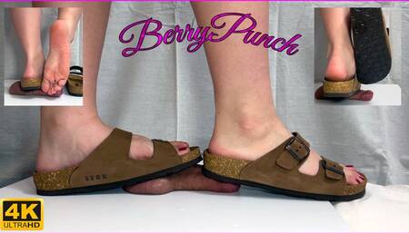 Birkenstock Cock Trampling - Shoejob - Cock Crush - Cockbox - Foot Fetish - Footjob - 4K