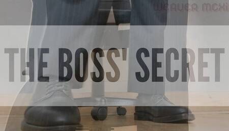 THE BOSS' SECRET