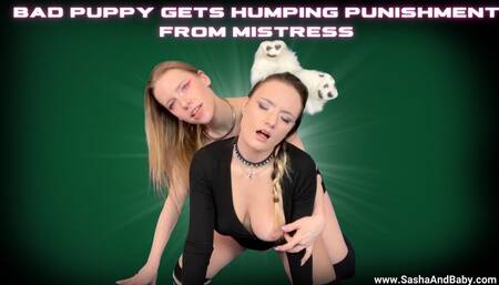 Bad Puppy Gets Humping Punishment from Mistress