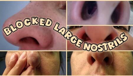 Giantes Nostrils Blocked