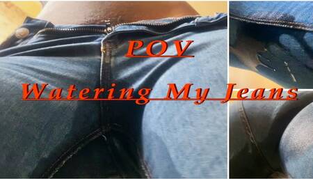 POV Pee desparation dance in my Jeans Giantess HD