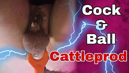 Femdom Slave Gets Cattle Prod to Balls!