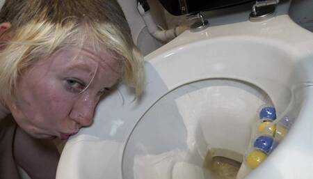 Submissive Slut Toilet Roll Holder and Toilet Licker