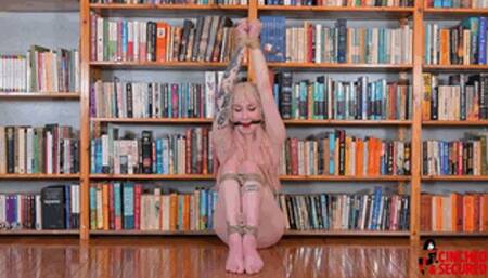 Medusa - Nude, Helpless and Begging (MP4 Format)