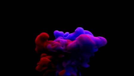 Solo Drooling & Twitching