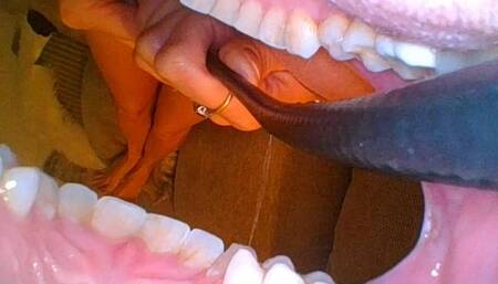 Borescope body explore