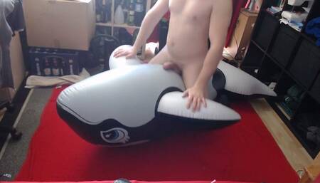 Risky ride on a inflatable Whale