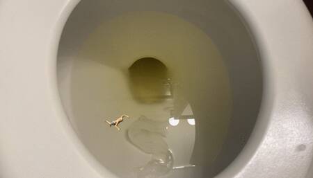 Toilet Fetish - Teenie Swims in Giantess Giant Toilet Full of Pee, femdom, mindfuck, shrinking fetish 4k