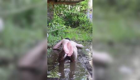 Reell - Don't Be Crabby 2