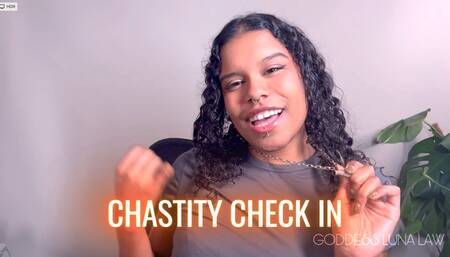 Chastity Check - Ebony Femdom POV
