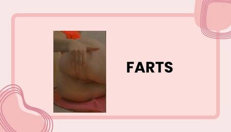 BUNDLE OF FARTS