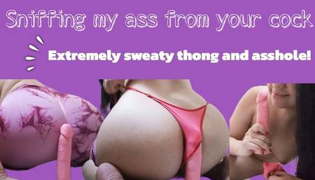 Sniffing my asshole from your cock