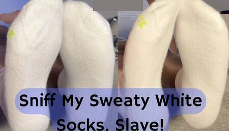 Sniff My Sweaty White Socks, Slave!