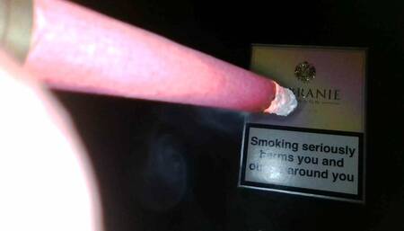 Sobranie magenta 100s inside