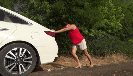 STUCK IN THE FOREST (sl)